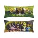 ALMOHADA SUPER JUMBO SHREK PANTANO
